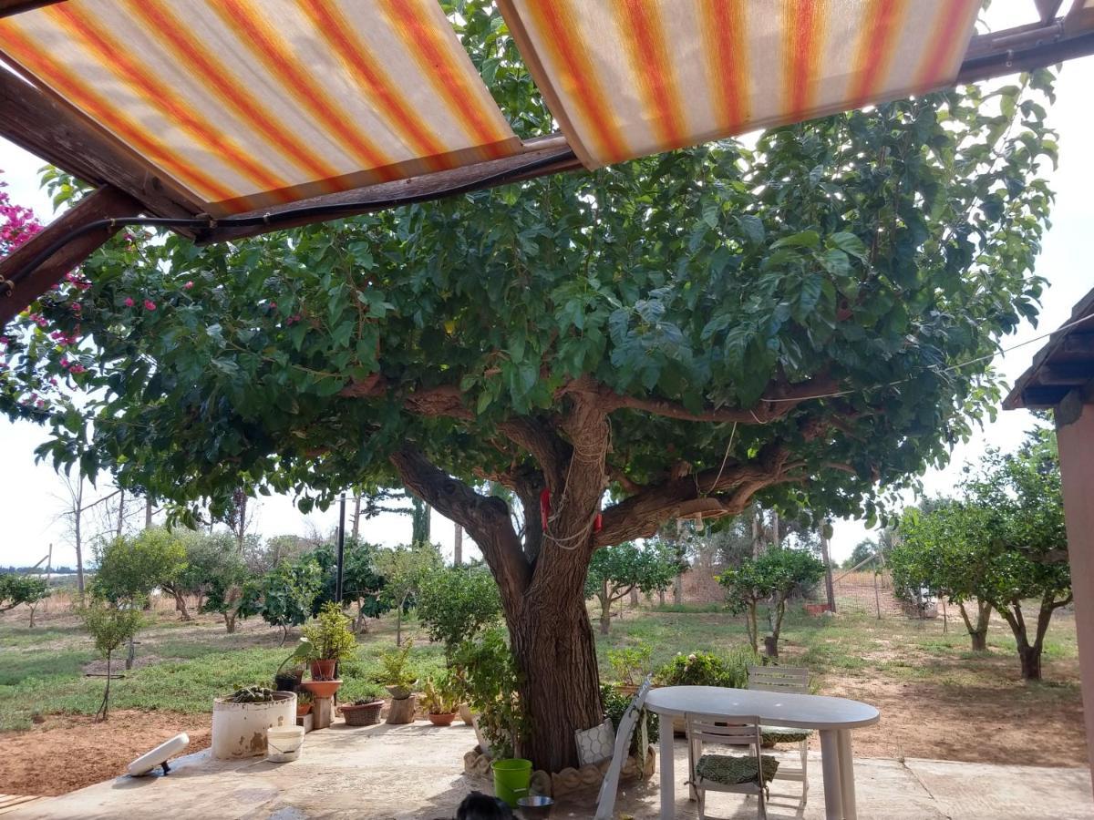 Bed and Breakfast Il Gazebo Scoglitti Exteriér fotografie
